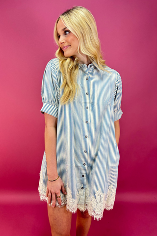 Pinstripe Menagerie Dress