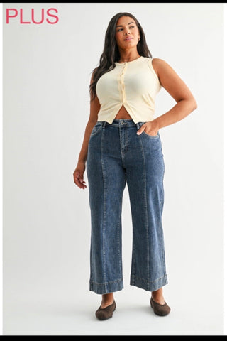 Curvy Bayou Bold HR Wide Trouser
