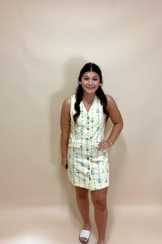 Daisy Lane Charm Dress