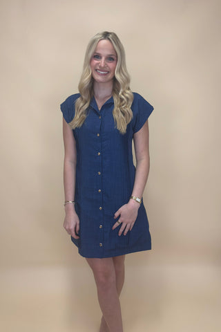 Midnight Garden Pintuck Shirt Dress