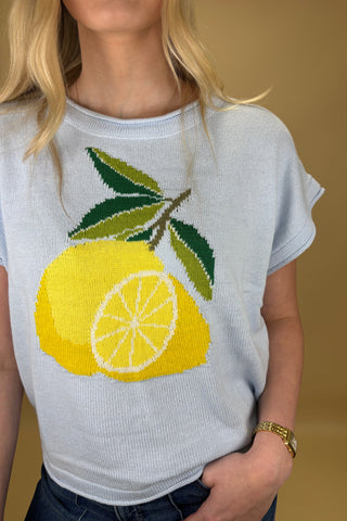 Lemon Kiss Knit Sweater Top