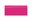 Pink Fuchsia