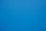 Blue Jay