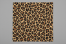 Leopard Print